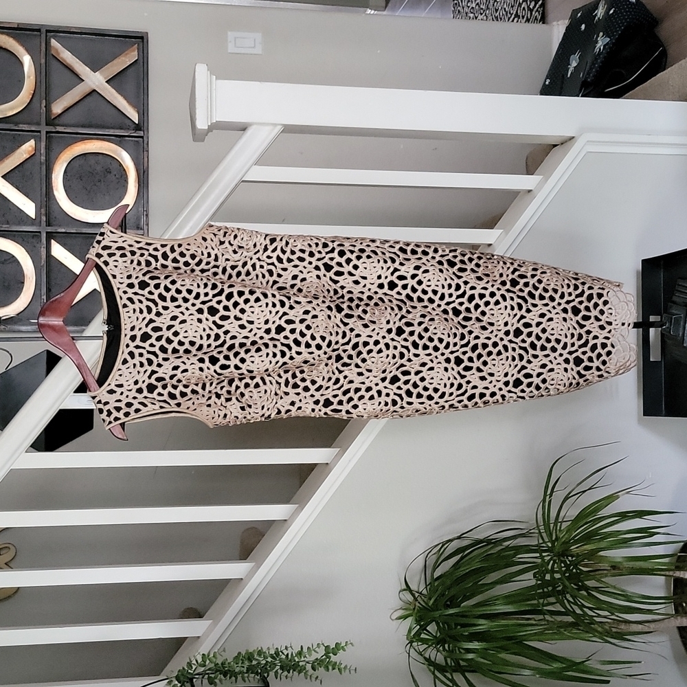 Tadashi Shoji Embroidered Cutout Sheath Dress Sleeveless | Nude Black | Size 8 - Picture 3 of 11